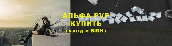 молекула духа Балахна
