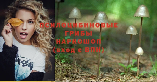 молекула духа Балахна