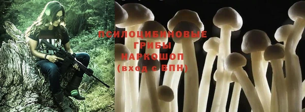 прущая мука Белоозёрский