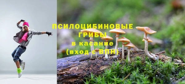 молекула духа Балахна