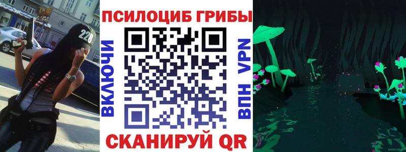 закладка  Володарск  Галлюциногенные грибы прущие грибы 